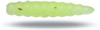 Quantum Magic Trout B Maggot 25mm - 